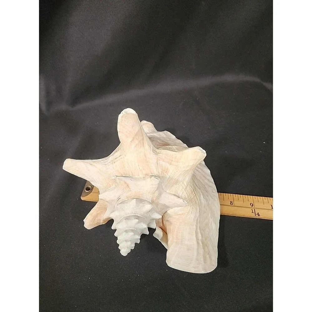 Queen‎ Conch Shell Pink Horned Large Seashell 9 x 7 Nautical Beach Ocean Coastal